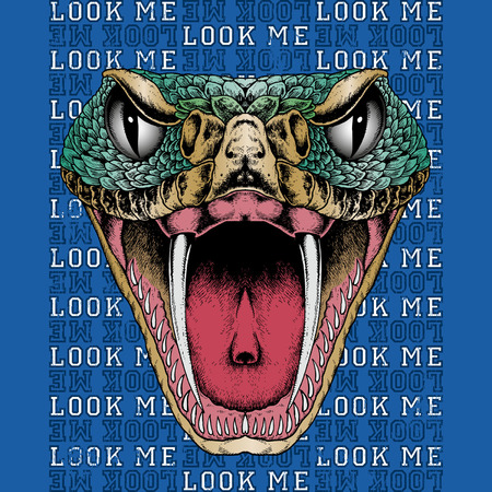 drawing of the head of a snakeのイラスト素材