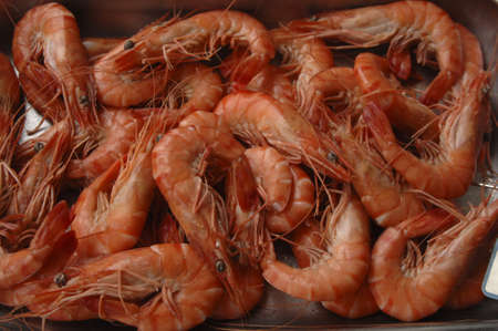 Fresh market prawnsの写真素材