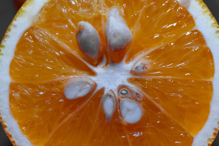 Macro shot of the contents of an orange fruit that has been sliced in half so the seeds are appearedの写真素材