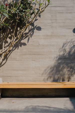 A wooden bench mounted on the abstract wall made of concrete and has a tree