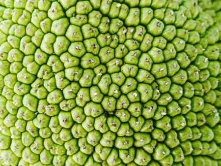 Jackfruit surface texture. Macro Photography. Suitable for background.