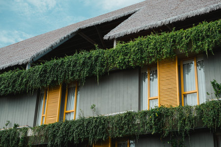 A building with a yellow exterior and green leaves growing up the side of the buildingの写真素材