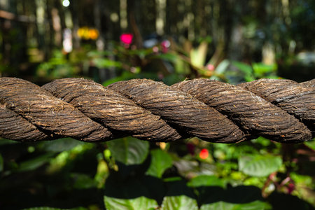 Think and braided rope made from natural fiber with bokeh backgroundの写真素材