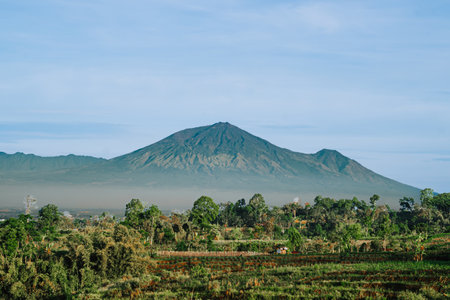 Terraced farmland on a hillside with distant mountain in the background. Serene morning landscape...