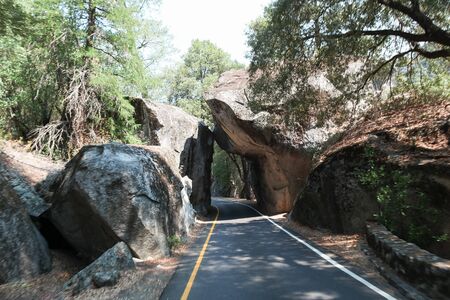 Open road in Yosemite National Park. California, Yosemite National Park, Taken 09.13の写真素材