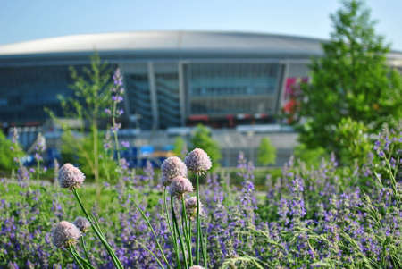 Flowers bloom in spring in the park near the stadiumの写真素材