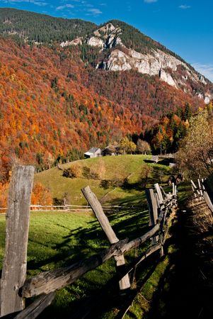 Autumn landscape in Magura village (Romania) with a cow eating grass.の写真素材