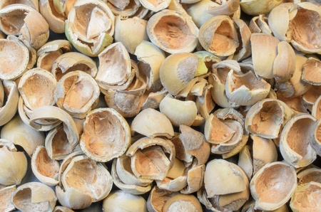 Hazel nuts shells backgroundの写真素材