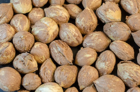 hazelnuts