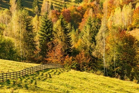 Countryside landscape in a romanian villlage at the food of Piatra Craiului Mountains.の写真素材