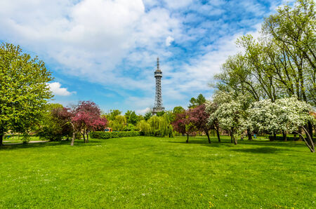 Garden with tower
の写真素材
