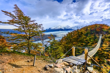 Grey Glacier,Patagonia, Chile - a glacier in the Southern Patagonian Ice Field, Cordillera del Paineの写真素材
