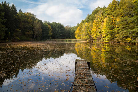Autumn forest lakeの写真素材