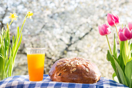 Czech Easter - baked easter cake with decorations, flowers and flowering cherry in the backgroundの写真素材