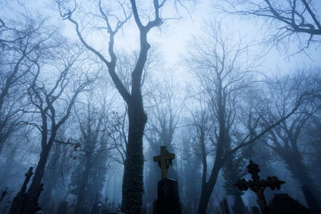 Mysterious cemetery in misty early eveningの写真素材