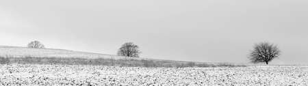 winter landscape with snow covered fields and treesの写真素材