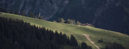 panoramic view of a mountain slope