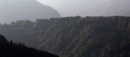 alpine landscape in summer