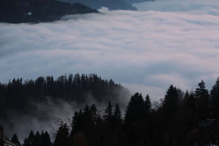 alpine scenery with forest hills in foggy weather