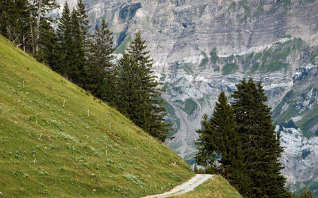 seasonal view of a gravel road on steep mountainous terrainの写真素材