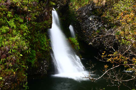 Waterfall in Mauiの写真素材