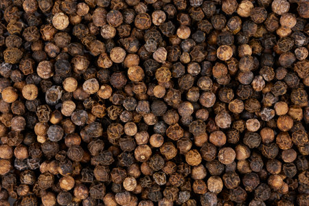 black pepper corns backgroundの写真素材