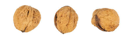 set of walnuts isolated on whiteの写真素材