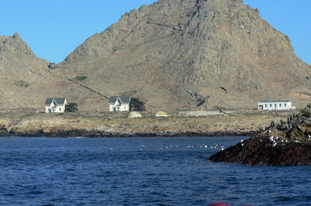 Houses and building on the Southeast Farallon Island, where scientific researchers live while on the island. Edge of small island with shore and seabirds.のeditorial素材