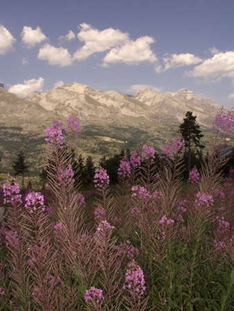 devoluy valley alps france mountains scenery landscape