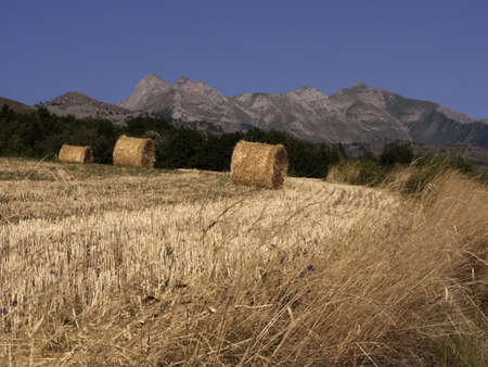 haybales in field of harvested wheat with mountains behindの写真素材
