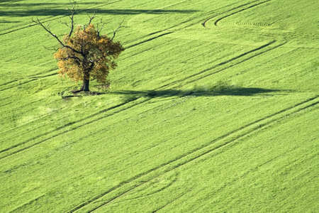 england the midlands worcestershire the view from st mary the virgin church hanbury village over countryside this is the setting for the village of ambridge featured in the radio serial the archersの写真素材