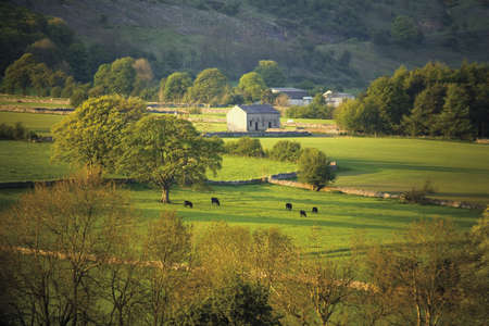 england derbyshire peak district national park longdtone moor farmlandの写真素材