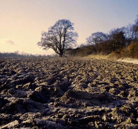 farmland in winter earth soil ploughed fertile mud muddyの写真素材