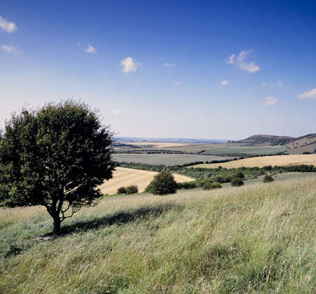rolling english countryside the chilterns buckinghamshire home counties england ukの写真素材
