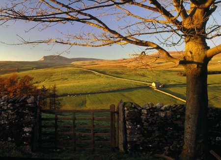 yorkshire dales national park catriggの写真素材