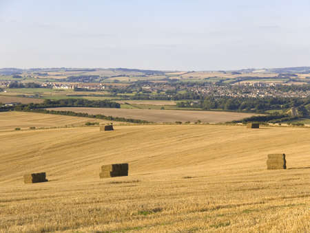 dorchester farmland dorset englandの写真素材