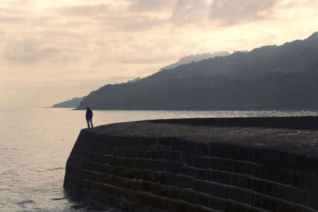 lyme regis dorset england the cobb harbour wallの写真素材