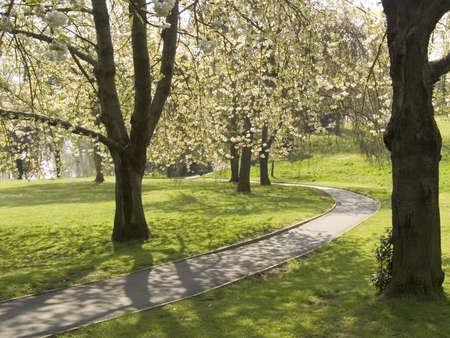 blossomの写真素材