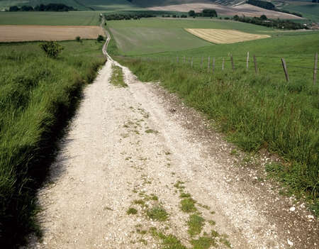 public bridleway across lambourn downs berkshire ukの写真素材