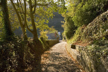 footpath to village clovelly devon england ukの写真素材