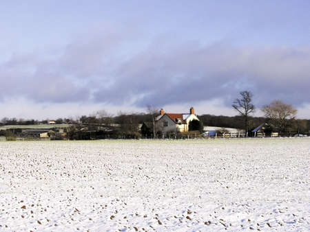 Farmland Fields covered in snowの写真素材