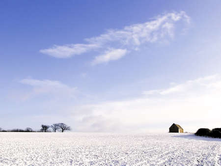 Farmland Fields covered in snowの写真素材