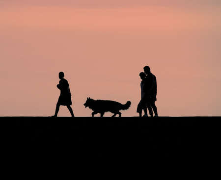 england dorset lyme regis harbour jurassic coast the cobb harbourの写真素材