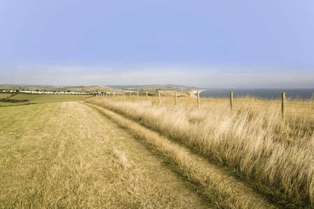 england dorset bridport jurassic coast eype mouth dorset coast path to thornecombe beaconの写真素材