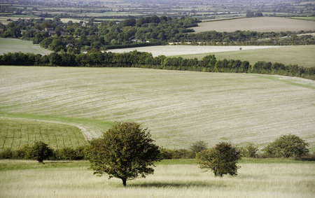 view over countrysideの写真素材