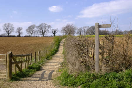 footpath with blank signpost with room for text or copyの写真素材