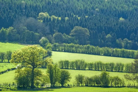 woodland landscape fields and farmland stokesay shropshire england ukの写真素材