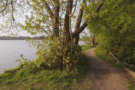 footpath through woods and forest next to lake earlswood lakes and reservoirs warwickshire the...