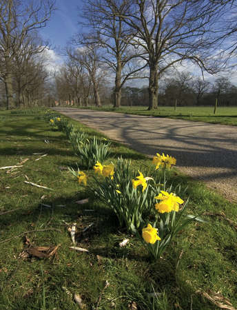 baddesley clinton estate warwickshire route of the of england way long distance footpathの写真素材