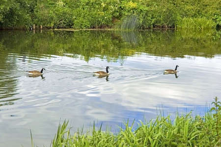river avon stratford-upon-avon warwickshire england ukの写真素材